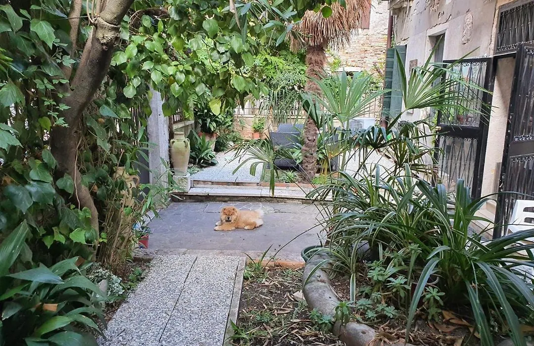 Residenza oleandro rosa-1